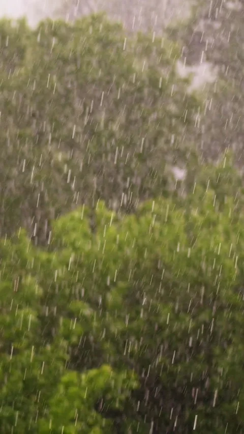 Focus on big drops of rain, city park , spring day, thunderstorm in city, strong Vídeos de archivo 313341433