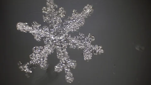 Focus from blur to sharpness on a snowflake under a microscope Stock Footage 105662872