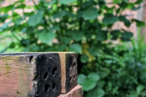 Focus bricks and blurry trees Stock Photos
