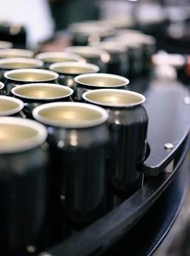 Focus on cans of craft beer placed in a production line in a brewery Stock Photos