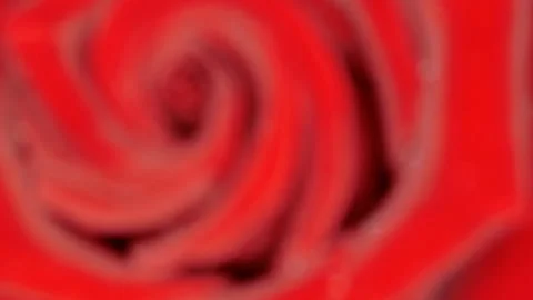 Focus on the central part of the button Stockbeeldmateriaal 92336192