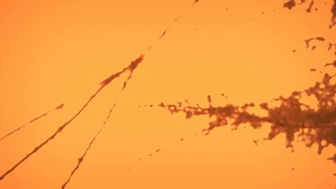 Focus Change between Trees Video stock 86519171