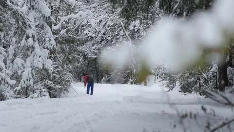 Focus change from a boy walks on a winter road to a snowy branch Video stock 70455632
