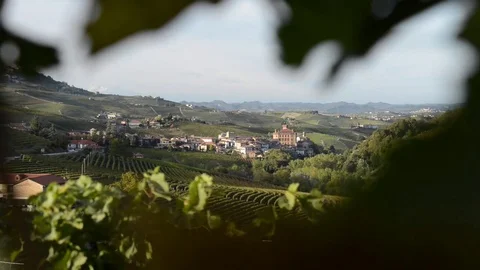 Focus Change on a close up view of the castle of Barolo through vineyards Stock Footage 81045601