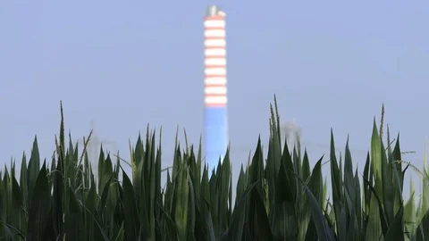 Focus change from corn field to chimney Stock Footage 112002478