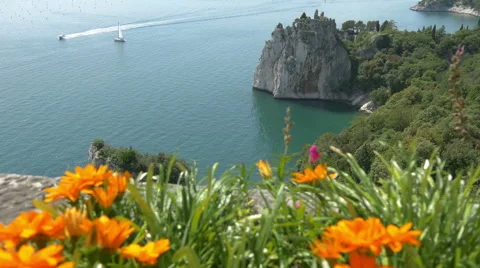 Focus change from Duino castle ruins and sea to colorful orange flowers Stock Footage 67389063