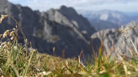 Focus change from foreground vegetation to background alpine mountain peaks Stock Footage 44084407