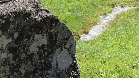 Focus change from granite stone to fast water mountain torrent Stock-Footage 112750660