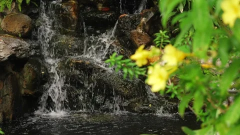 Focus change slow motion shot of small waterfall on black rocks surrounded by Stock Footage 292730129
