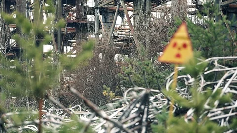 Focus change static shot of radiation sign in forest 스톡 동영상 99257750