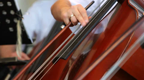 Focus on contrabass, man hands perform in orchestra   Video stock 32517288