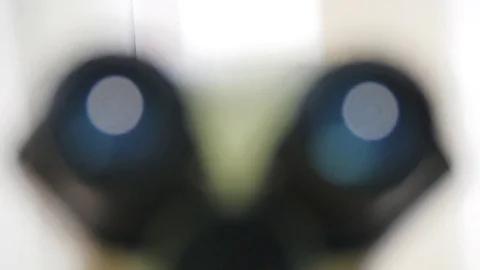 Focus-defocusing of the eyepieces of a large digital microscope Stock Footage 81051841