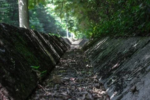 Focus in a ditch Stock Photos