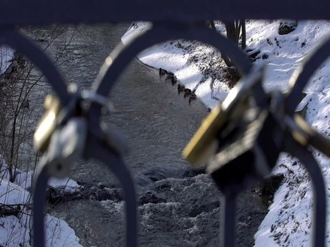 Focus from Ducks in the river to love locks on the bridge Stock Footage 72946835