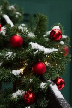 Focus on elegant winter tree outside house near red front door Stock Photos