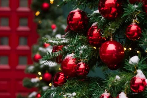 Focus on elegant winter tree outside house near red front door Stock Photos