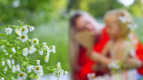 Focus on field daisies in the foreground. In the background, daughter and mother Stock Footage 253986972