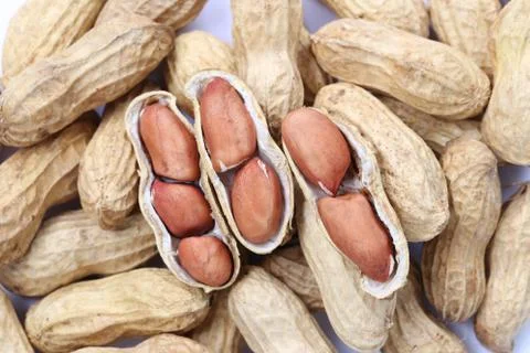 Focus fresh Peanuts. Stock Photos