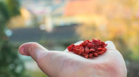 Focus on goji fruit. Stock Photos