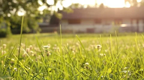 Focus on grass with house in background Vídeos de archivo 7728971