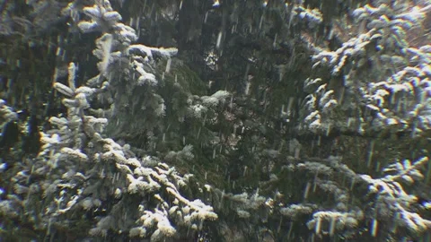 Focus on a heavy snowfall 動画素材 133896034