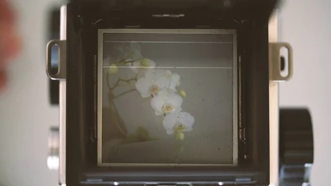 Focus on the image through the viewfinder of the old film camera Stock Footage 73071265