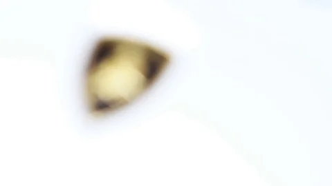 Focus logo Lamborghini Stock-Footage 76392490