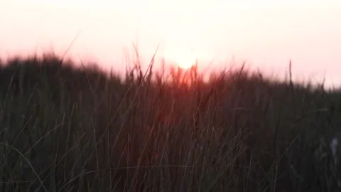 Focus from marram grass to sundown at beach Stock Footage 218265084