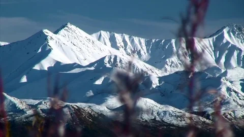 Focus From Mountain Range To Interesting Red Plants Stock Footage 92401822