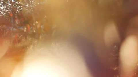 The focus is not correct. Stock Footage 104096058