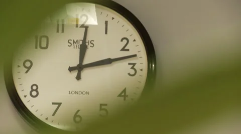 Focus In on Office Clock Through Plant Stock Footage 58241162