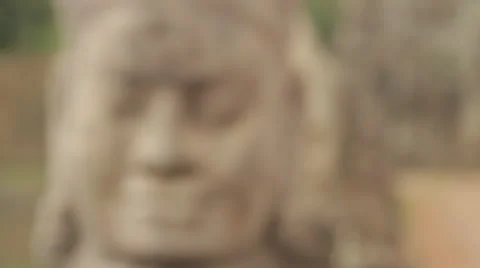 Focus Out-In Decorative Head Stock Footage 42775112