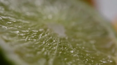 Focus peaking on Lime Cut. Stock Footage 131998420