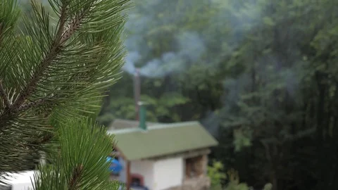 Focus On Pine Branch. Blurred House Of The Pipe Which Is A Thick Smoke Stockbeeldmateriaal 80782651