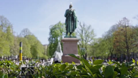 Focus on plants with a defocused park in the background Stock Footage 274431562