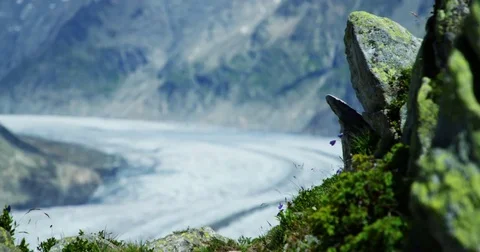 Focus pull of Aletsch Glacier - Shot on RED at 5K Stock Footage 79314308
