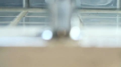 Focus pull on ants around a faucet Video stock 33900462