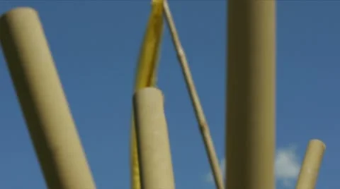 Focus pull to Bamboo poles from yellow flag Video stock 12586821