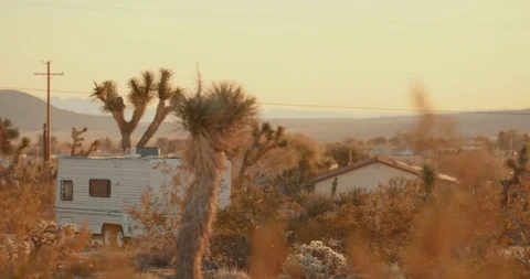 Focus pull cactus to caravan derserted living joshua tree Stock Footage 107993760