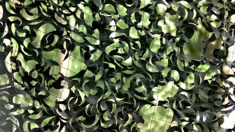 Focus pull: Camouflage net in front of trees, plants, wild nature Stock Footage 76809070