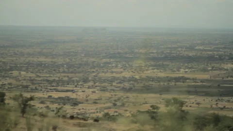 Focus pull to close up of flowers on Ethiopian countryside Stock Footage 169666292