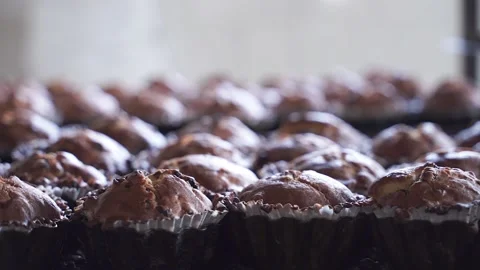 Focus pull close up shot of delicious freshly baked cupcakes Stock Footage 164401677