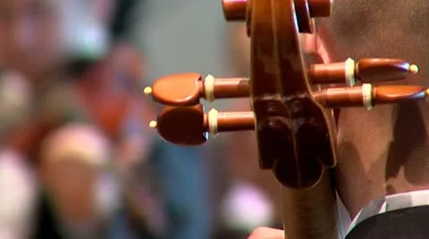 Focus pull from contrabass to violin Stock Footage 10595003