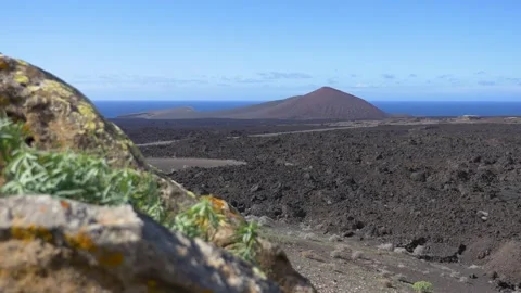 Focus Pull from Desert Plant to Volcano Landscape Lanzarote 스톡 동영상 331541816
