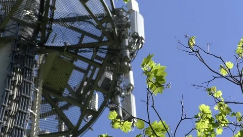 Focus pull: Details of a cell tower, a tree branch with green leaves, blue sky Stock Footage 76770305