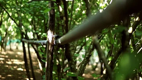 Focus pull down a dripping irrigation pipe Stock Footage 78984713