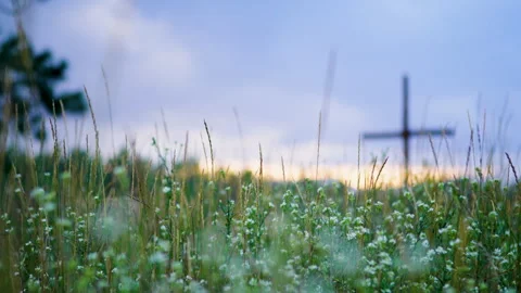 Focus Pull from Flowers and Grass to Cross Stock Footage 316083838