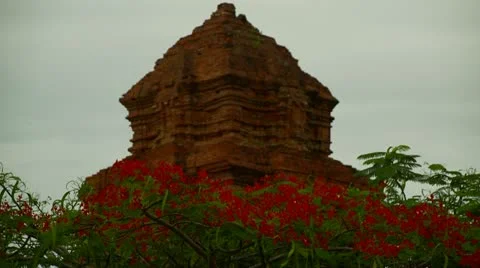 Focus pull from flowers to temple, Thap Poshanu Cham Tower Ancient temple Stock Footage 11409854