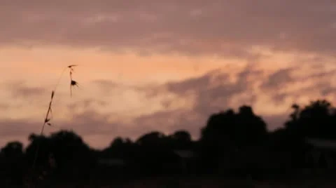 Focus pull from grass to colorful sky Video stock 11140712