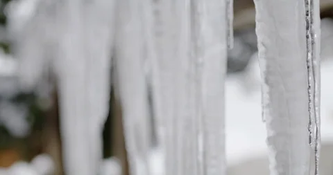 Focus pull of icicles dripping, Winter scene in 4K in the Alps Stock Footage 127189479